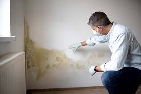 Best Water Damage & Mold Remediation  in Cool Valley, MO